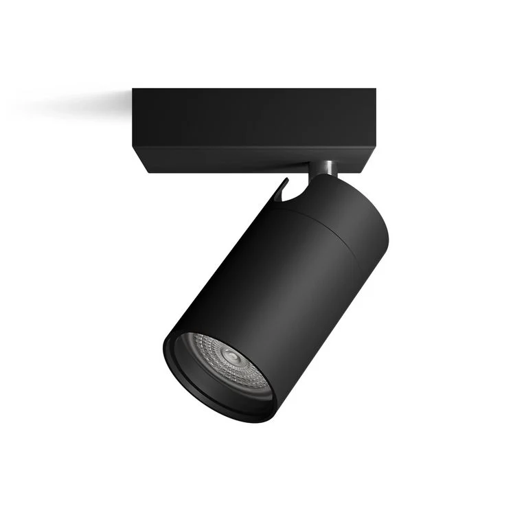 Philips opbouwspot Idris zwart