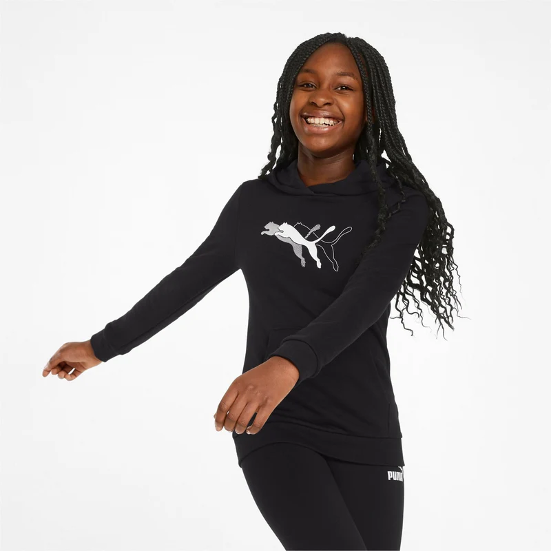 Puma Power Graphic Hoodie