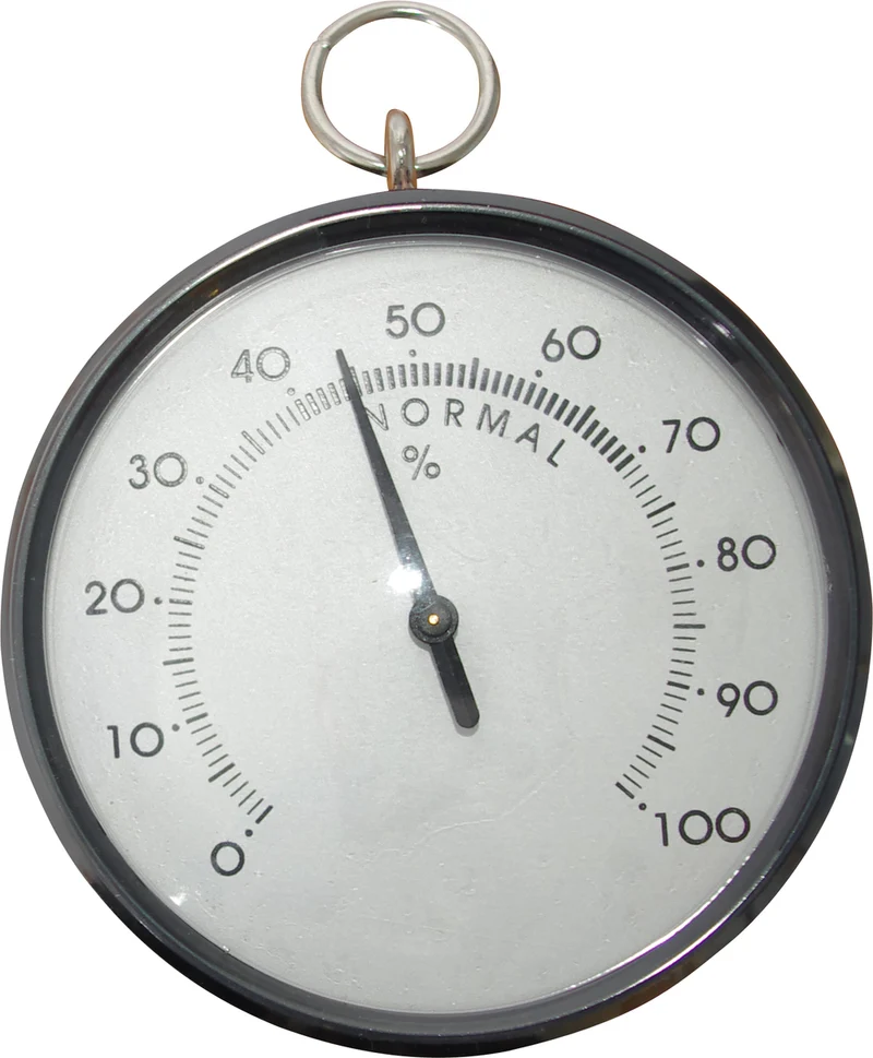 Hendrik Jan hygrometer kunststof zwart 20x10x3cm