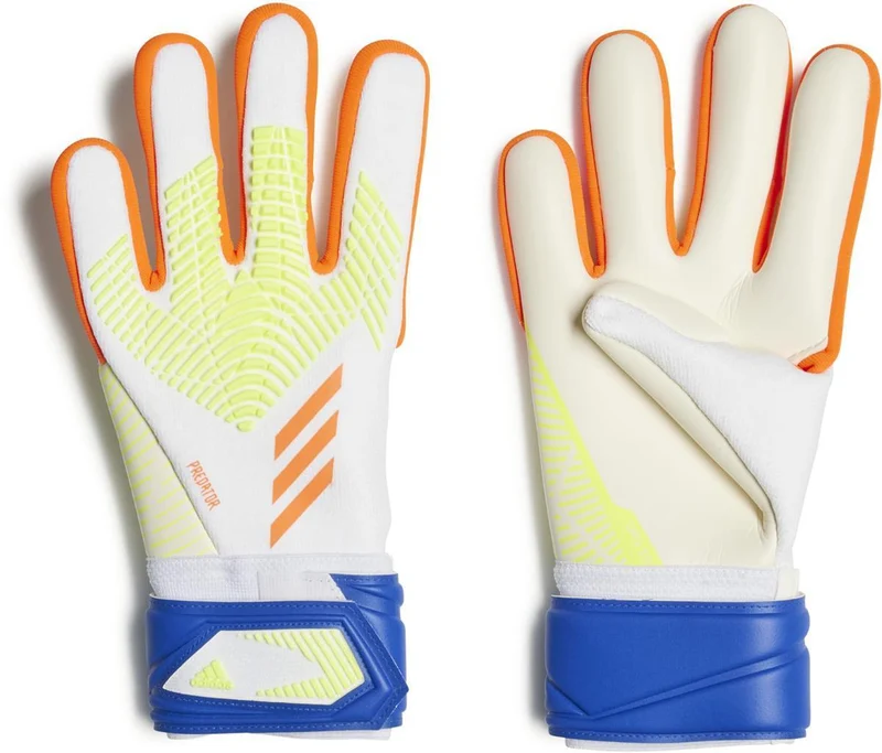 Pred Gl Lge