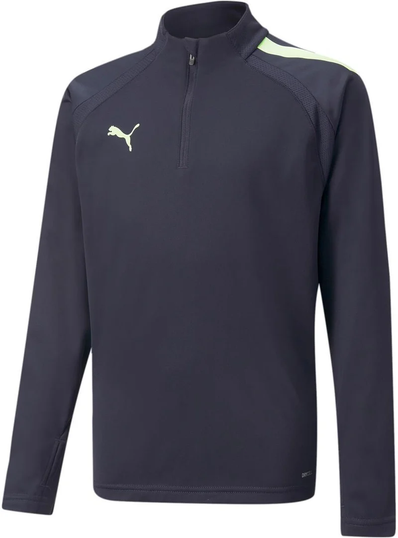 Teamliga 1/4 Zip Top Jr