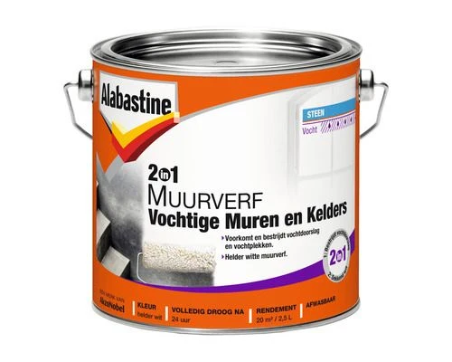 Alabastine 2in1 Vochtige muren en kelders Muurverf lak mat wit 2,5l